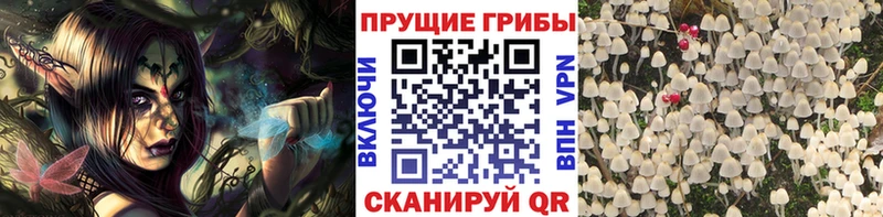 Псилоцибиновые грибы прущие грибы  где можно купить наркотик  Фурманов 